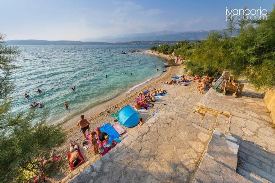 Apartments Carpe Diem Novigrad  Kültér fotó