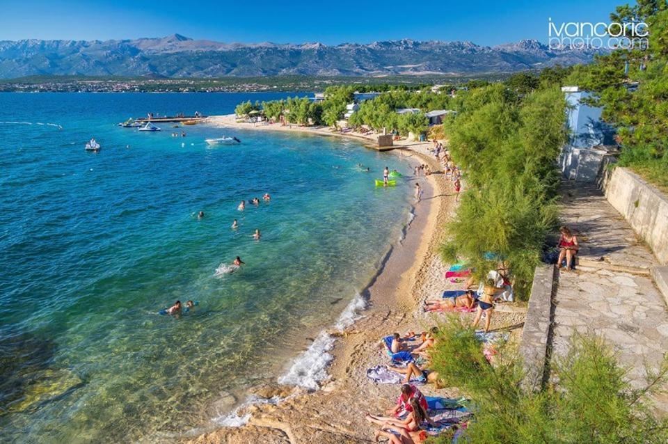 Apartments Carpe Diem Novigrad  Kültér fotó